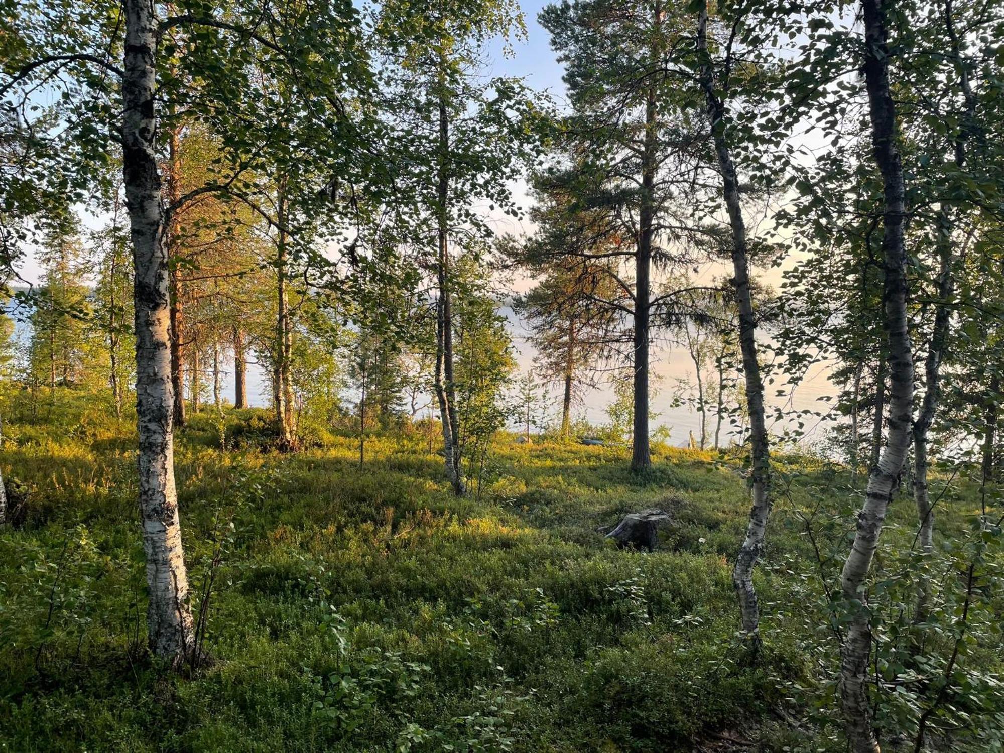 Lapland Dream Villas Rauhala Buitenkant foto